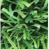 China Trio color 18000Dtex Strong Synthetic Garden Artificial Grass for High Standard Football Field wholesale