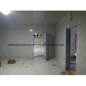 China ISO Certified Agriculture Cold Storage Room PU1009810 for Optimal Temperature Control wholesale