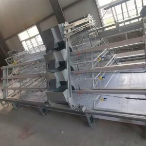 China Hot Galvanized A Type Broiler Baby Chick Cage supplier