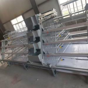 Hot Galvanized A Type Broiler Baby Chick Cage