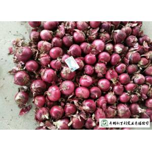 China Juicy Sweet Red Onion 10 Kg / Bag Packing White Flesh For Cooking supplier