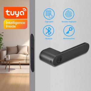 Apartment Smart Fingerprint Door Lock Intelligent Biometric Black Aviation Aluminium