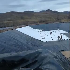 s Distribution High Density Polyethylene EVA HDPE Geomembrane Waterproof Anti-Leakage