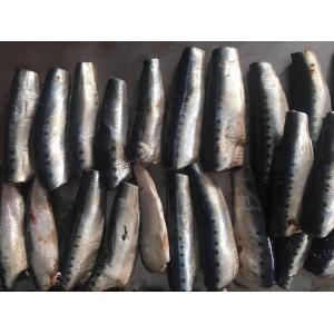 Natural glaze best selling price HGT Fresh Frozen  Sardines For canning