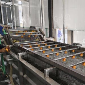 China Industrial Berry Juice Processing Line 200T/Day Turnkey Solution wholesale