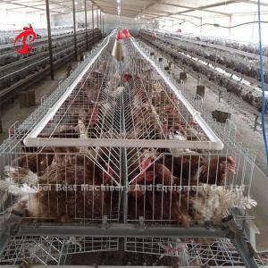 China Rearing Cage Poultry Farm Brooder Breeding Equipment Sandy supplier