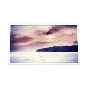 China C101UAT03.0 10,1 pouces 1920*1200 PCAP Module d'écran LCD supplier