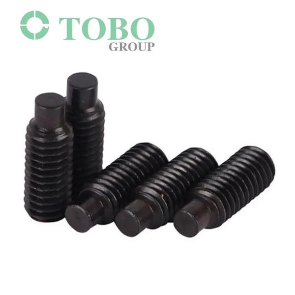 Custom Stainless Steel Thread Pitch Metal Screws Fine Drive Type For Precision Applications