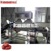 Stainless Steel Dates Processing Machine