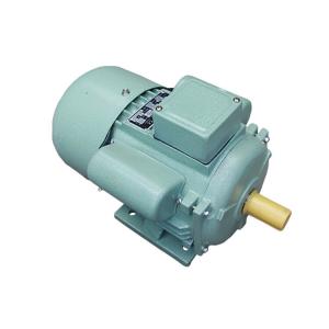 China 0.55 KW 1 Phase Electric Motor 50 Hz Squirrel Cage For Small Type Machine Tools supplier