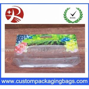 China Grape Plastic Laminated Slider Ziplock Fresh recycled bottom gusset bags supplier