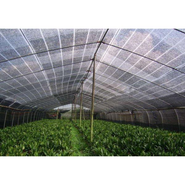 High-Efficiency Shade Net Making Machine with Made-to-order Color and Oiled Eccentric Gearing