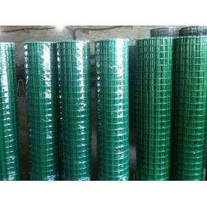 Holland Welded Wire Mesh Roll High Tensile Strength For Bird / Rabbit Cage