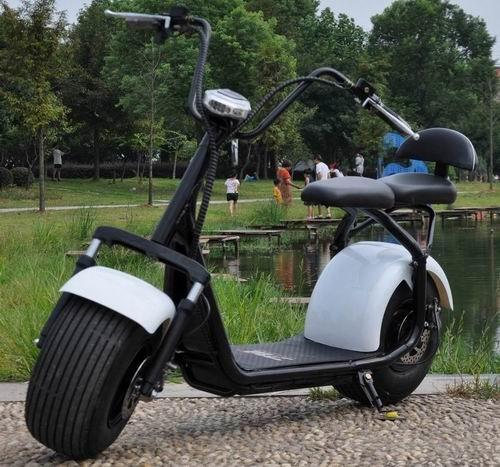 Fat Tire Electric Motorcycles And Scooters 2 Wheel Citycoco Scooter For Adult