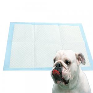 China Pet Training Disposable Pet Pads For Dogs In Black White Blue And Green supplier