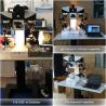 China Microscopio de comparación forense digital motorizado con cámara CCD de alta resolución e iluminación LED para investigación de laboratorio wholesale