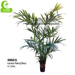 China H210cm Artificial Tropical Tree , Artificial Kentia Palm Tree For Indoor Decoration supplier
