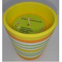 China Yellow Citronella terracotta pot scented candle with the printed hang tag on sale