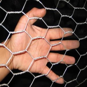 China Galvanized Hexagonal Wire Netting supplier