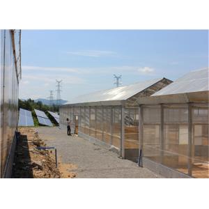 Roof Mounted Greenhouse Solar System Photovoltaic Power Plants Agricultural Crops