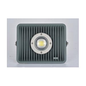 China 30W 洪水ライト supplier