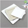 China Facotry Wholesale Sugarcane Pulp Square Plate-6 Inch/8inch/10inch,100%