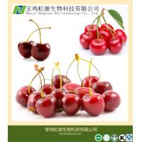China 100% Soluble Acerola Cherry Extract Powder on sale