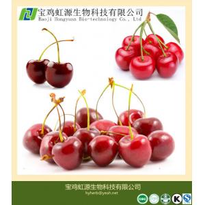 100% Soluble Acerola Cherry Extract Powder