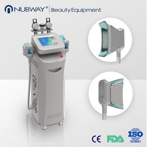 China cryolipolysis machine for home use Cryolipolysis Fat Freeze slimming machine supplier