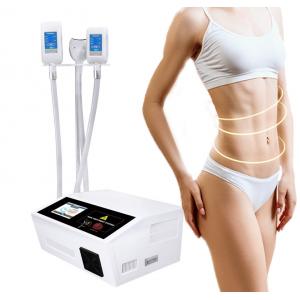 Best 360 Fat Freezing Cryolipolisis Slimming Machine For Salon Personal Care