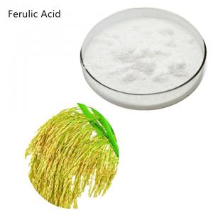 1135-24-6 Rice Bran Extract Soluble Trans Ferulic Acid Supplement