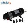 WHALEFLO DP-100M 220v ac 100 psi high pressure electric motor powerful pump