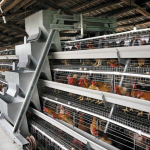 China Hot Dip Galvanized Battery Poultry Farm A Frame Manual Layer Chicken Cage supplier