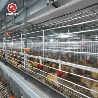 China Hot Galvanized Battery Chicken Cage For Broiler 17 Chicks / Cell on sale