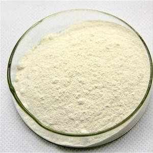 Chengyida supply 25kg bag xanthan gum food grade bulk thickener CAS NO 11138-66-2