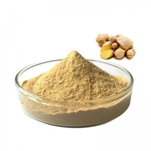 Factory Supply Natural Water Soluble Natural Instant Ginger Powder , Ginger Extract Powder