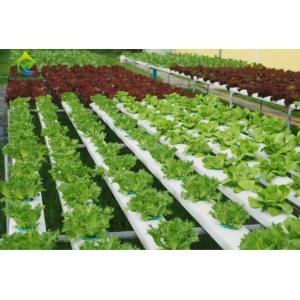 Nontoxic PVC Soilless Culture System Vertical Hydroponic Growing Irrigation Equipment
