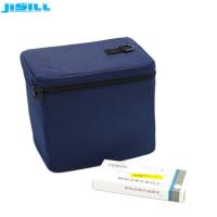 China Portable Reusable 4L Mini Medical Cool Box For 28C - 8C Vaccine Transport on sale