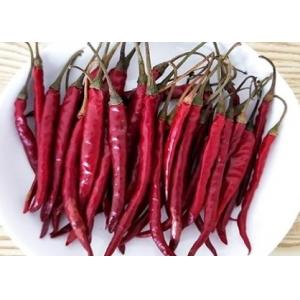 China S17 Dried Red Chile Peppers Stick Shape Whole Chilli Pods Spices supplier