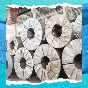 China 904L SS Coil Hot Rolled Mill Edge Steel Grade for Industrial Use supplier