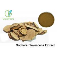 0.3%-98% Matrine Sophora Flavescens Extract Herbal Medicine Root Extract