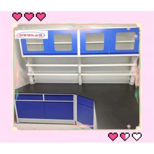 China Durable Chmiestry Lab Bench  Lab Caseworks with PP Drawer for Educational Institutions supplier