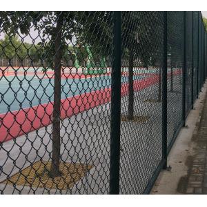 China High Strength Green Wire Mesh Fence 50*100mm PVC Coated Iron Wire Material supplier