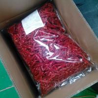 China Pungent Spice Tianjin Red Chilies Freshly Harvested For Cooking on sale