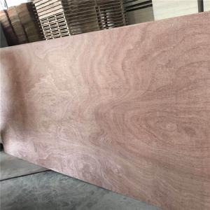 Eucalyptus Core Furniture Grade 18 15 12mm Homebase Plywood