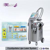 Zerona Laser Cryolipolysis Machine Cryotherapy 10.4 Inch For Body Slimming