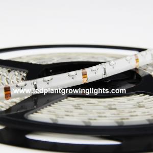 China Waterproof 12V Architectural Side Emitting LED Flexible Light Strip 9.6 Watt For Canopy supplier