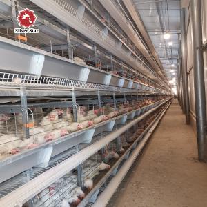 65*62.5*50 Cm Size Battery Cage Chicken Farming For Rearing House