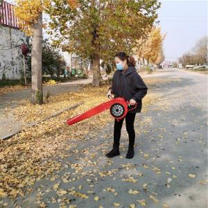 China cordless portable knapsack wind sweeper leaf blower snow blower forest Fire extinguisher lightweight leaf blower supplier