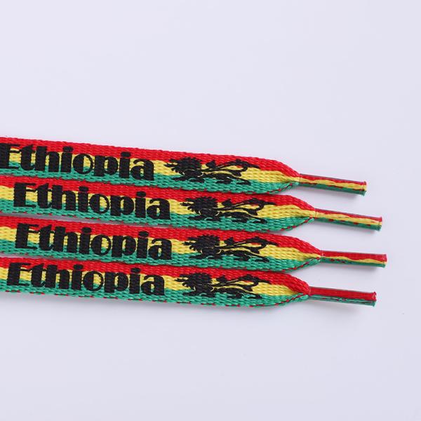 El cordón de zapatos de poliéster impreso diseño personalizado color plano con puntas de plástico